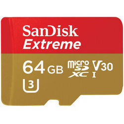 SanDisk  Extreme  64GB TF洢