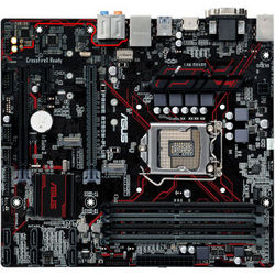 ASUS ˶ PRIME B250M-PLUS 649Ԫ