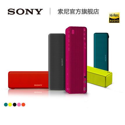 Sony  SRS-HG1 