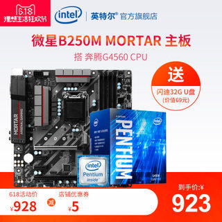 Ӣضintel Pentium  G4560 CPU+MSI ΢B250M MORTAR   ȯ923Ԫ
