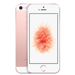 Apple ƻ iPhone SE ֻ 64G ɫ