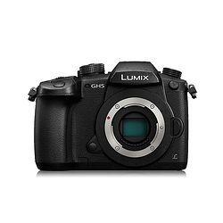 Panasonic  Lumix DC-GH5 콢޷ 