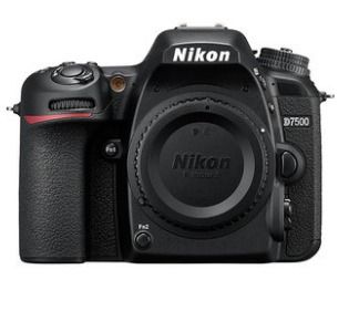 Nikon ῵ D7500 ж˵  
