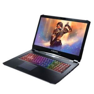 Hasee  G97E 17.3ӢϷi7-8750H16GB1TB+256GBGTX1077599Ԫ