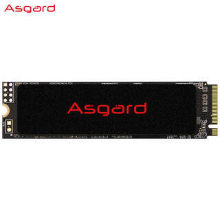 Asgard ˹ AN2 ϵ M.2ӿ SSD̬Ӳ 250GB