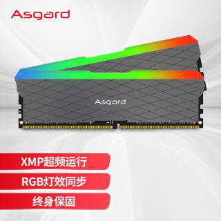 Asgard ˹ 弫W2ϵ DDR4 3200MHz RGB ̨ʽڴ ɫ 16GB 8GBx2479Ԫȯ