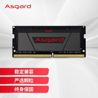 Asgard ˹ DDR4 2666MHz ʼǱڴ 16GB