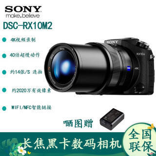 SONY  SonyDSC-RX10M2 ڿ 40 4KƵ¼ DS6399Ԫ