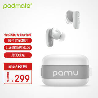 Padmate  Pamu z1 lite  ̫ջ299Ԫ