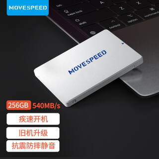 MOVE SPEED  Ǯϵ SATA3.0ӿ ̬Ӳ 256GB