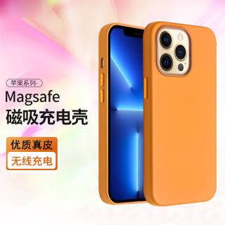 건 iphone13ϵ ƤMagSafeֻ59Ԫȯ