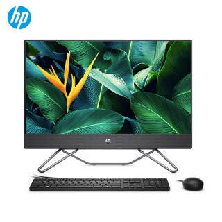 HP  ս66 ΢߿ܰ칫һ̨ʽ23.8ӢRYZENR5-5500U 1