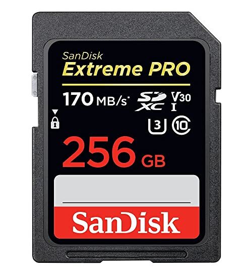 SanDisk  Extreme PRO SDXC U3 C10 V30 SD洢 256GB