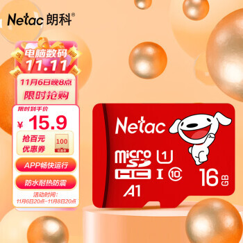 Netac ʿ P500  Micro-SD洢 16GB