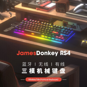 JAMES DONKEY RS4 ģе 87 ť