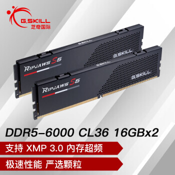 G.SKILL ֥ F5-6000J3636F16GX2-RS5K DDR5 6000Hz ̨ʽڴ 16GBx2889