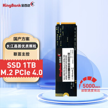 KINGBANK ٴ KP260ϵ NVMe M.2 ̬Ӳ 1TBPCI-E4.0