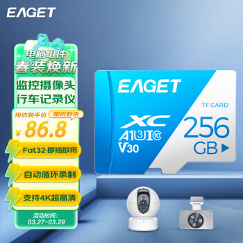 EAGET  T1 MicroSD洢 256GBUHS-IV30U3A186.8Ԫ
