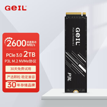 GeIL  P3L NVMe M.2 ̬Ӳ 2TBPCI-E3.0