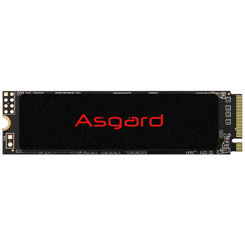 Asgard ˹ AN2 NVMe M.2 ̬Ӳ 1TBPCI-E3.0ȯ