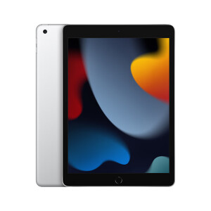 ڲ Plus Apple iPad 10.2Ӣ 9 256GB ɫ ƽ