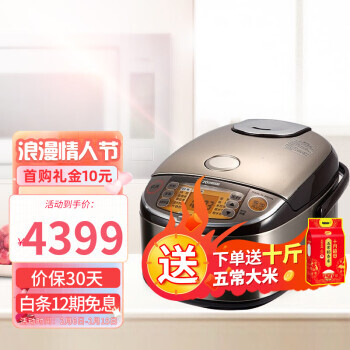 ZOJIRUSHI ӡ ZO JIRUSHI 緹ҵ緹ѹżȵ緹 HSH NP-HSH10C4319Ԫȯ